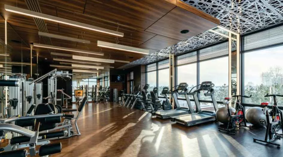 Gymnasium